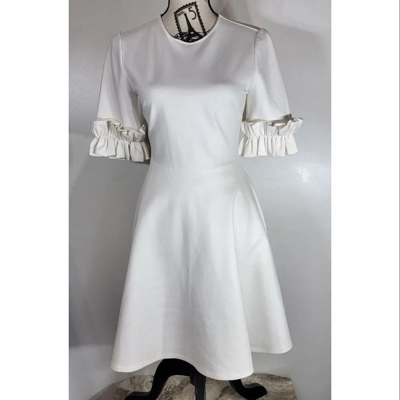 Ted Baker London Pleated Ruffle Sleeve Fit and Flare Dress, Off White Size XS - Picture 1 of 7